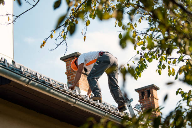 Best Local Roofing Companies  in Brownsville, PA